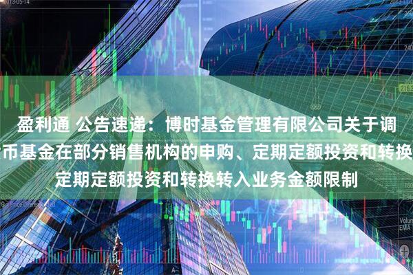 盈利通 公告速递：博时基金管理有限公司关于调整旗下博时合鑫货币基金在部分销售机构的申购、定期定额投资和转换转入业务金额限制