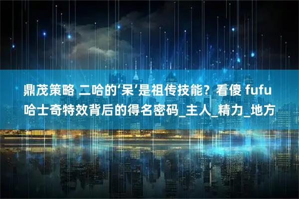 鼎茂策略 二哈的‘呆’是祖传技能?看傻 fufu 哈士奇特效背后的得名密码_主人_精力_地方