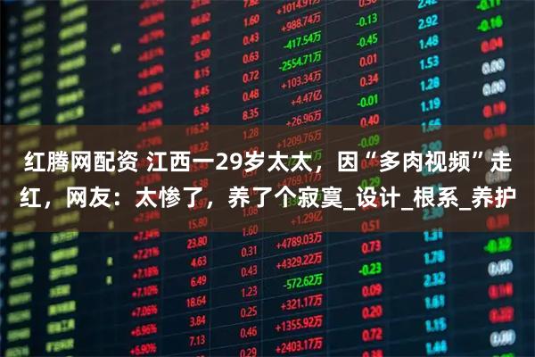 红腾网配资 江西一29岁太太,因“多肉视频”走红,网友:太惨了,养了个寂寞_设计_根系_养护