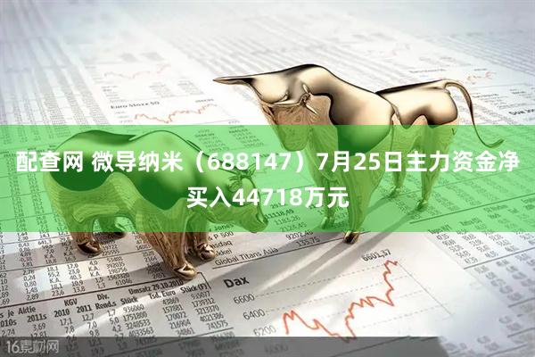 配查网 微导纳米（688147）7月25日主力资金净买入44718万元